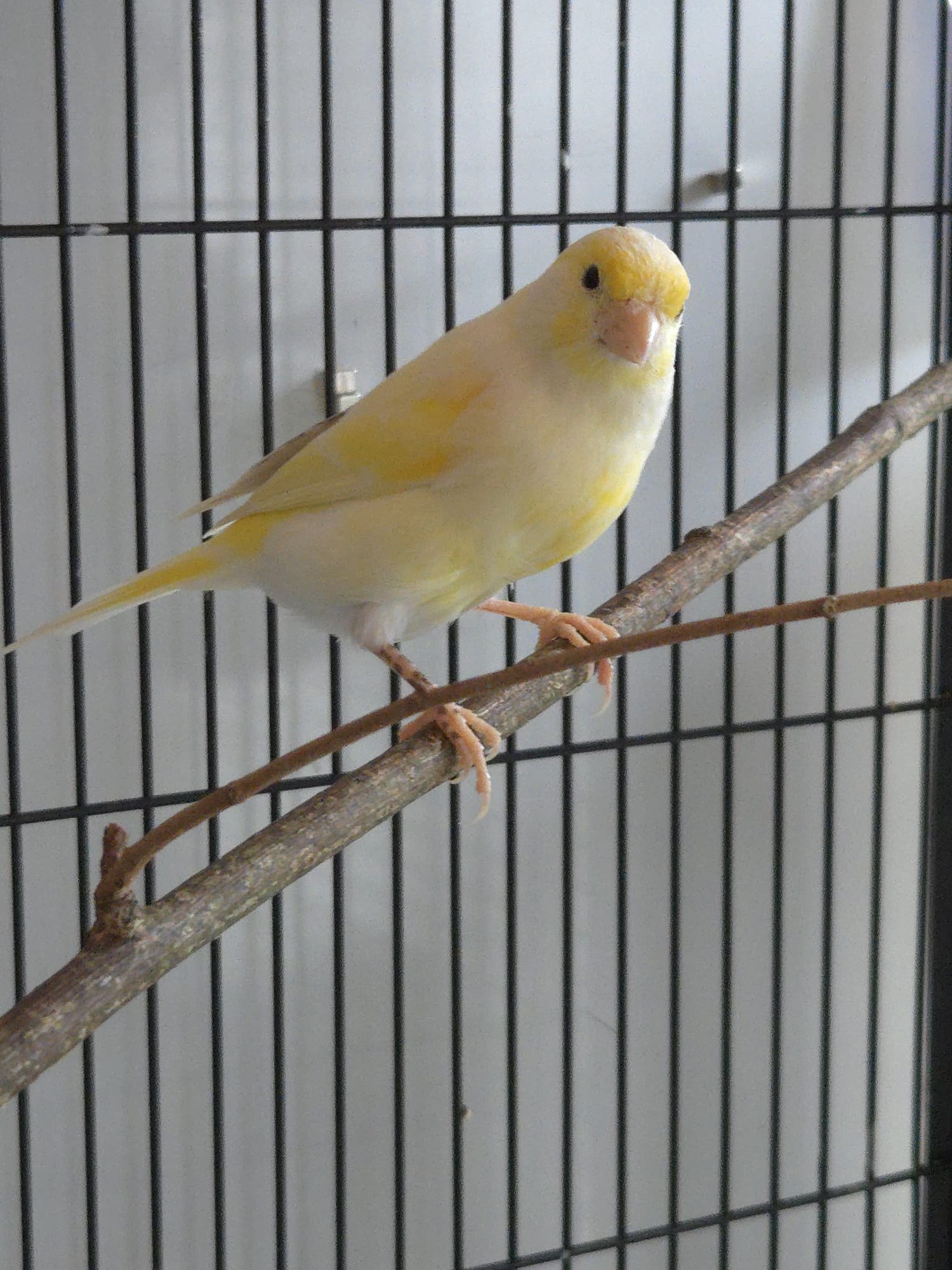 IMG-20260901-WA0003